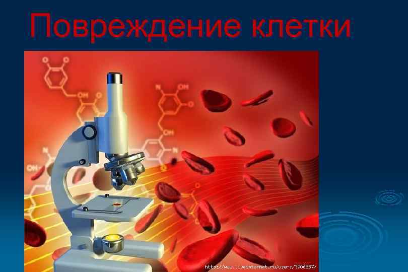 Повреждение клетки 