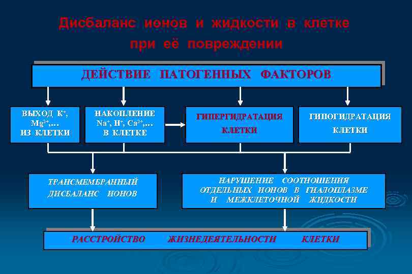 Дисбаланс ионов и жидкости в клетке при её повреждении ДЕЙСТВИЕ ПАТОГЕННЫХ ФАКТОРОВ ВЫХОД К+,