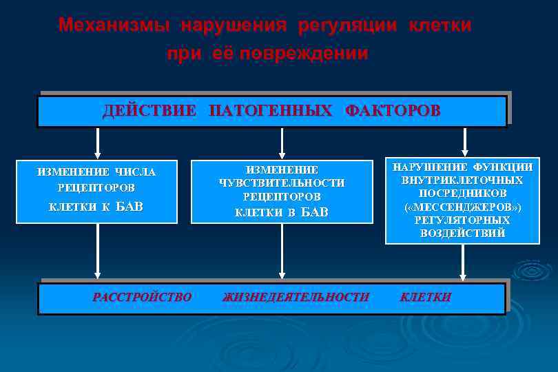 Механизмы нарушения регуляции клетки при её повреждении ДЕЙСТВИЕ ПАТОГЕННЫХ ФАКТОРОВ ИЗМЕНЕНИЕ ЧИСЛА РЕЦЕПТОРОВ КЛЕТКИ