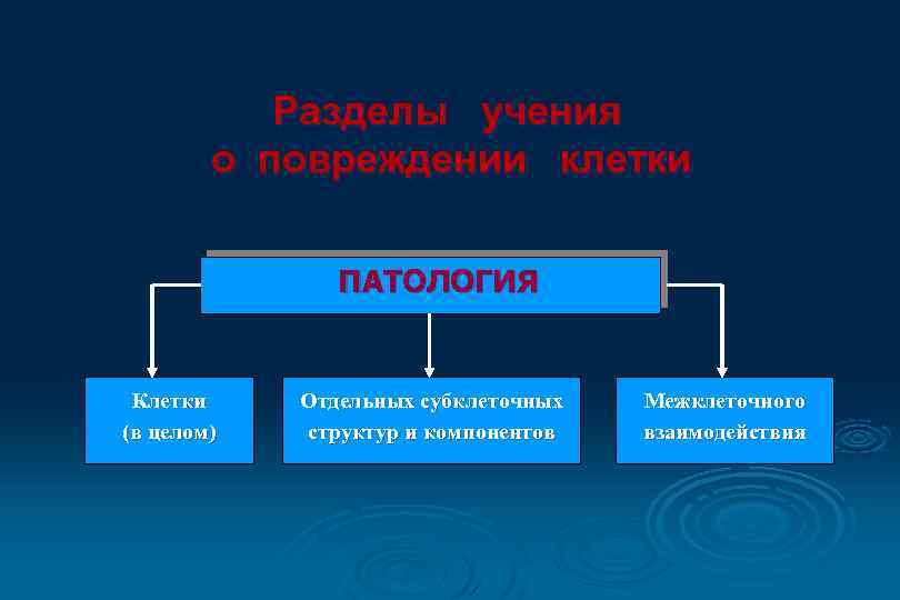 Разделы учения о повреждении клетки ПАТОЛОГИЯ Клетки (в целом) Отдельных субклеточных структур и компонентов