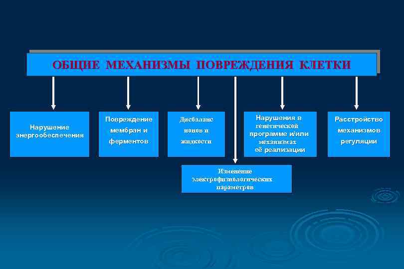 ОБЩИЕ МЕХАНИЗМЫ ПОВРЕЖДЕНИЯ КЛЕТКИ Нарушение энергообеспечения Повреждение Дисбаланс мембран и ионов и ферментов жидкости