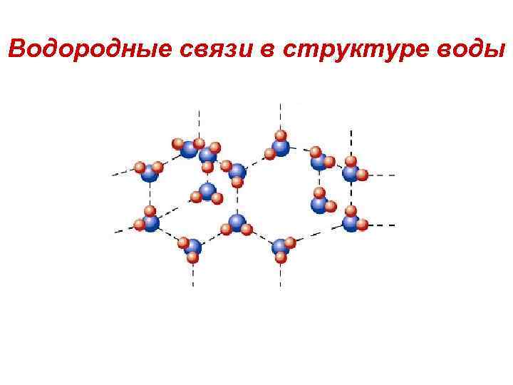 Водородные связи в структуре воды 