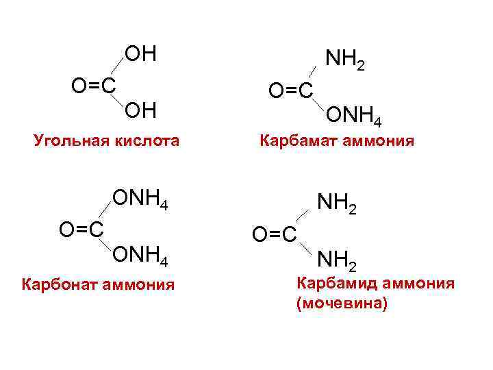 Угольная кислота формула. Структурная формула угольной кислоты. Графическая формула угольной кислоты. Угольная кислота формула химическая.