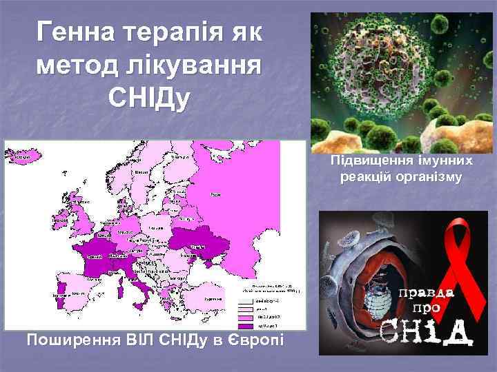 Генна терапія як метод лікування СНІДу Підвищення імунних реакцій організму Поширення ВІЛ СНІДу в