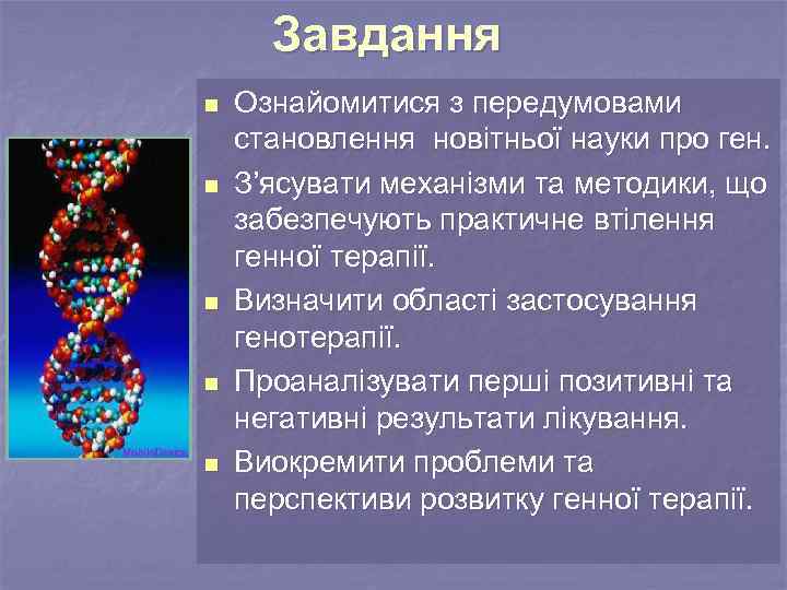 Завдання n n n Ознайомитися з передумовами становлення новітньої науки про ген. З’ясувати механізми