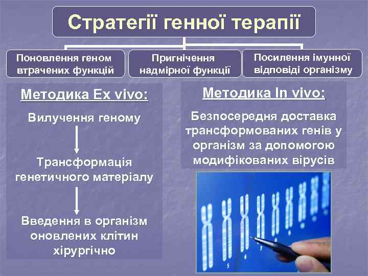 Стратегії генної терапії Поновлення геном втрачених функцій Пригнічення надмірної функції Посилення імунної відповіді організму