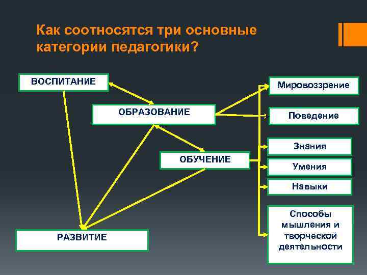 Образование и поведение