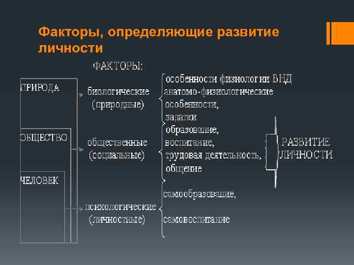 Факторы, определяющие развитие личности 