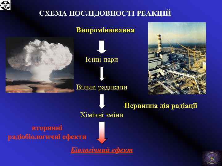 СХЕМА ПОСЛІДОВНОСТІ РЕАКЦІЙ Випромінювання Іонні пари Вільні радикали Первинна дія радіації Хімічні зміни вторинні