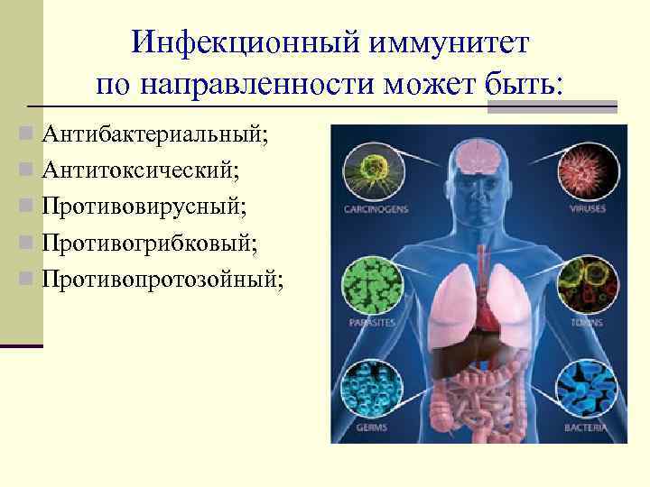 Инфекционный иммунитет по направленности может быть: n Антибактериальный; n Антитоксический; n Противовирусный; n Противогрибковый;