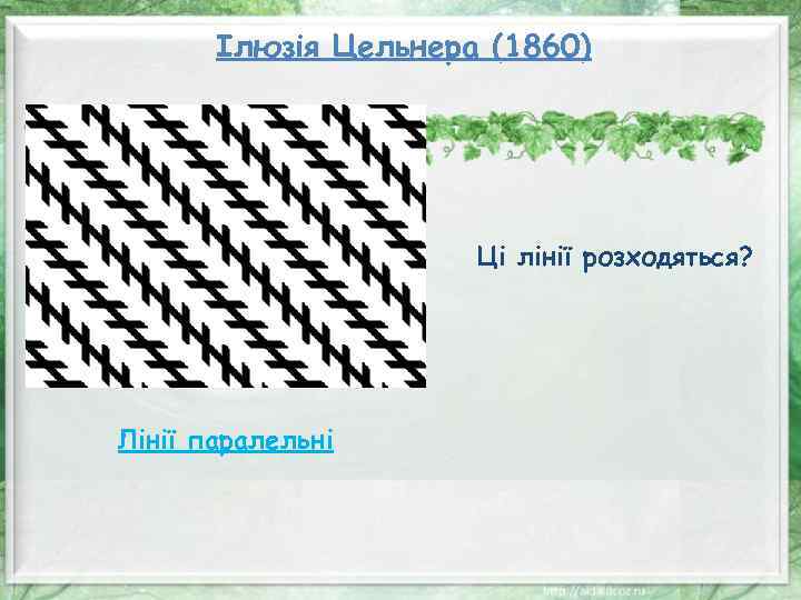 Ілюзія Цельнера (1860) Ці лінії розходяться? Лінії паралельні 