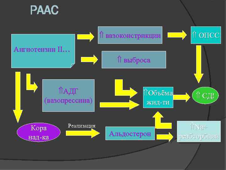 РААС вазоконстрикции ОПСС Ангиотензин II… выброса АДГ (вазопрессина) Кора над-ка Объёма жид-ти Реализация Альдостерон