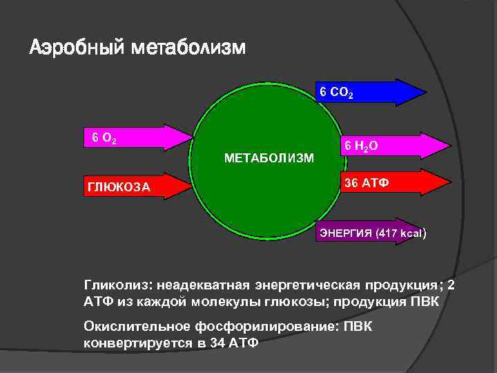 Аэробный метаболизм 6 CO 2 6 O 2 МЕТАБОЛИЗМ ГЛЮКОЗА 6 H 2 O