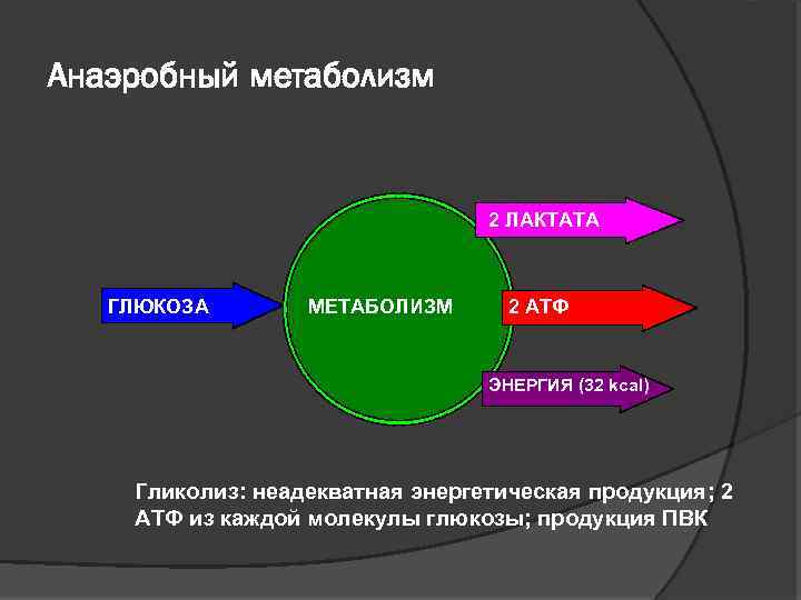 Анаэробный метаболизм 2 ЛАКТАТА ГЛЮКОЗА МЕТАБОЛИЗМ 2 АТФ ЭНЕРГИЯ (32 kcal) Гликолиз: неадекватная энергетическая