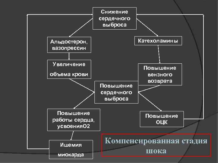 Снижение сердечного выброса Катехоламины Альдостерон, вазопрессин Увеличение объема крови Повышение сердечного выброса Повышение работы