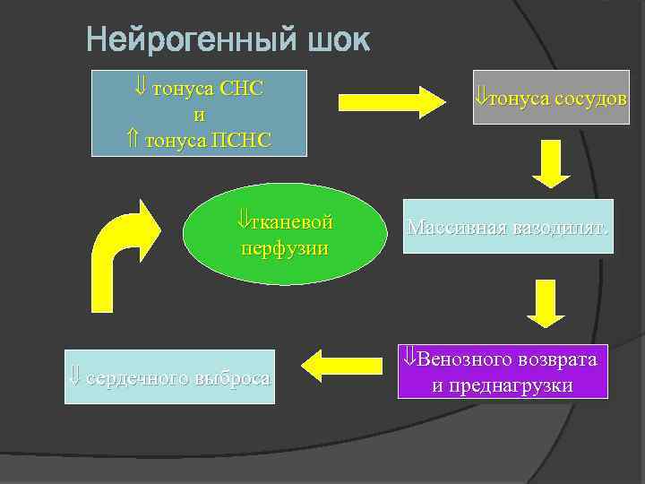 Нейрогенный шок тонуса СНС и тонуса ПСНС тканевой перфузии сердечного выброса тонуса сосудов Массивная