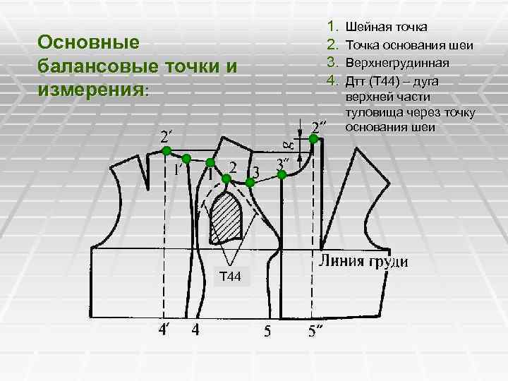  1. Шейная точка Основные 2. Точка основания шеи балансовые точки и 3. Верхнегрудинная