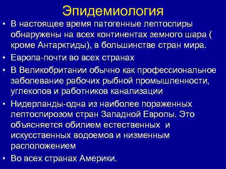 Эпидемиология • В настоящее время патогенные лептоспиры обнаружены на всех континентах земного шара (