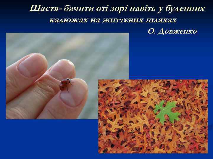 Щастя - бачити оті зорі навіть у буденних калюжах на життєвих шляхах О. Довженко