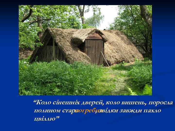 “Коло сінешніх дверей, коло вишень, поросла полином стара погребня , звідки завжди пахло цвіллю”