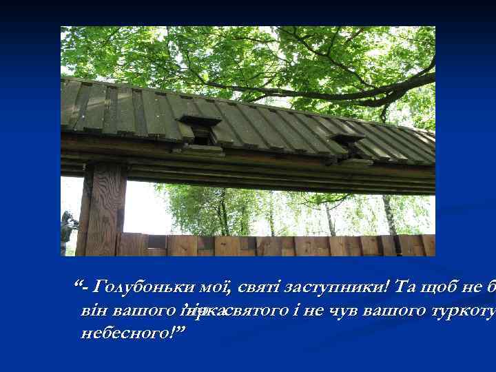 “- Голубоньки мої, святі заступники! Та щоб не ба б він вашого пір святого