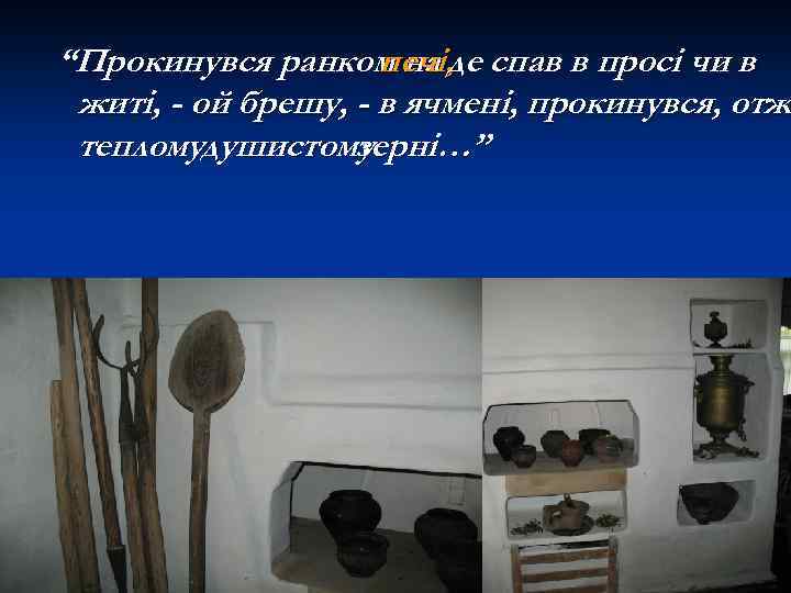 “Прокинувся ранком на де спав в просі чи в печі, житі, - ой брешу,