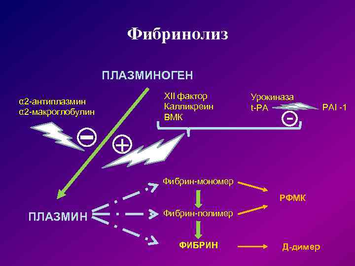  Фибринолиз ПЛАЗМИНОГЕН XII фактор Урокиназа α 2 -антиплазмин Калликреин t-PA PAI -1 α