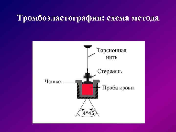 Тромбоэластография: схема метода 