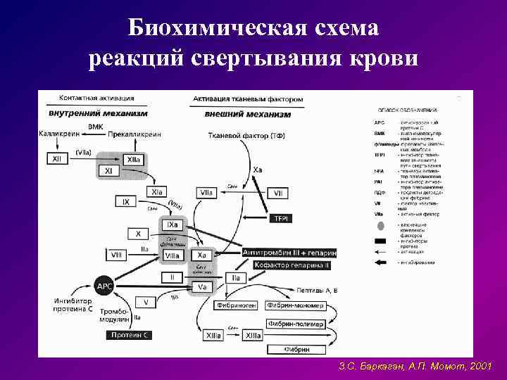  Биохимическая схема реакций свертывания крови З. С. Баркаган, А. П. Момот, 2001 