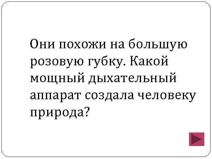 Они похожи на большую розовую губку. Какой мощный дыхательный аппарат создала человеку природа? 