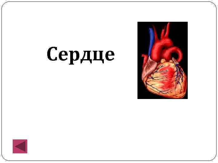 Сердце 