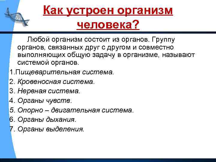Как устроен организм человека? Любой организм состоит из органов. Группу органов, связанных друг с