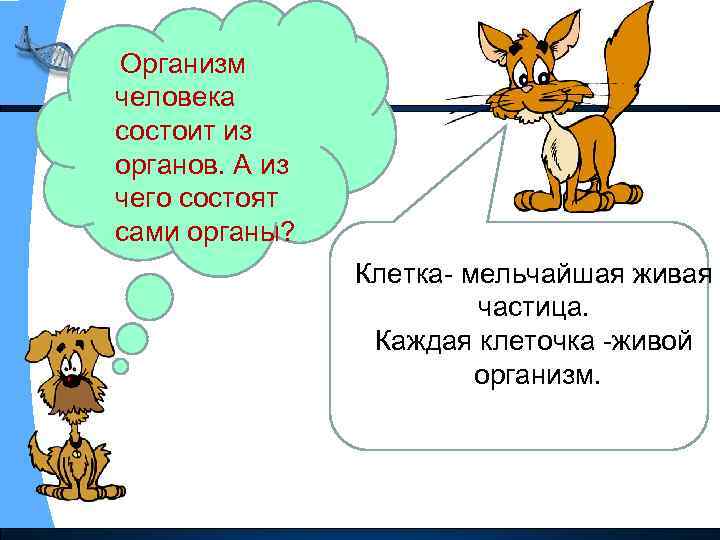 Организм человека состоит из органов. А из чего состоят сами органы? Клетка- мельчайшая живая