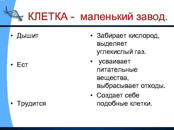 КЛЕТКА - маленький завод. • Дышит • Ест • Трудится • Забирает кислород, выделяет