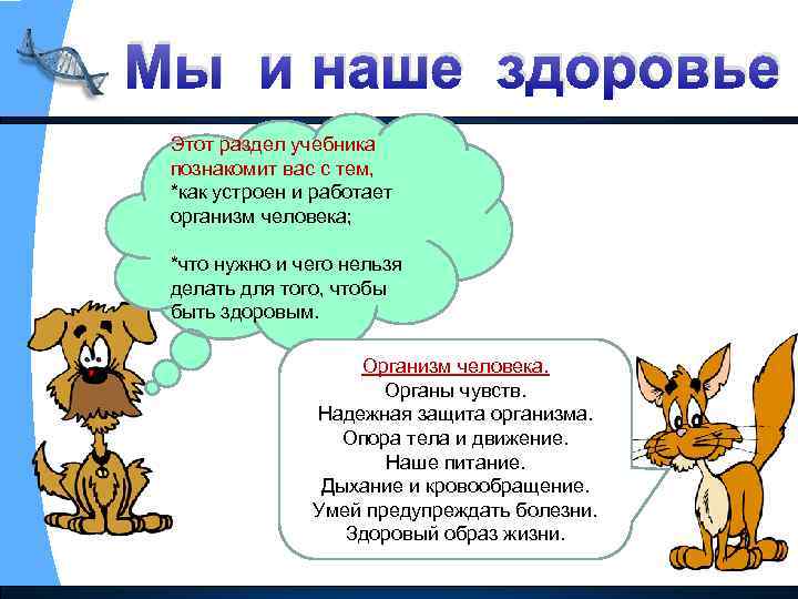Мы и наше здоровье Этот раздел учебника познакомит вас с тем, *как устроен и