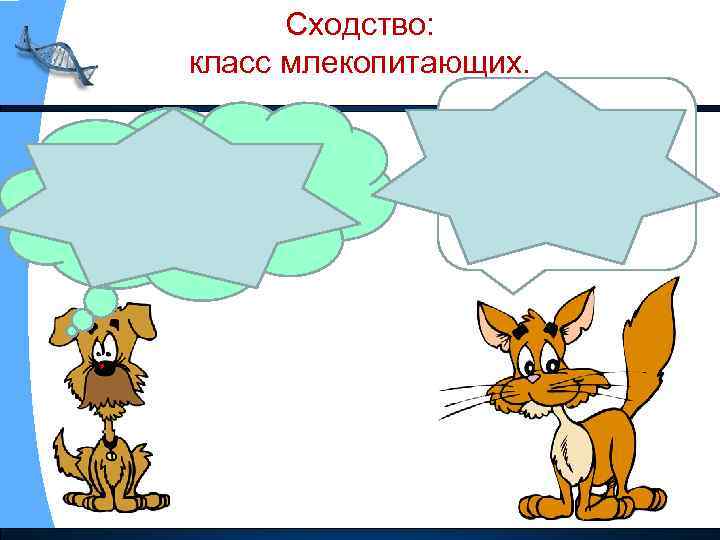 Сходство: класс млекопитающих. ЖИВОТНОЕ ЧЕЛОВЕК Кормит маленьких детей молоком 