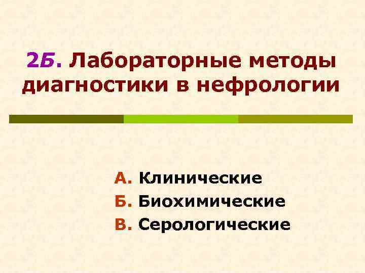 Методы лучевой диагностики в нефрологии презентация