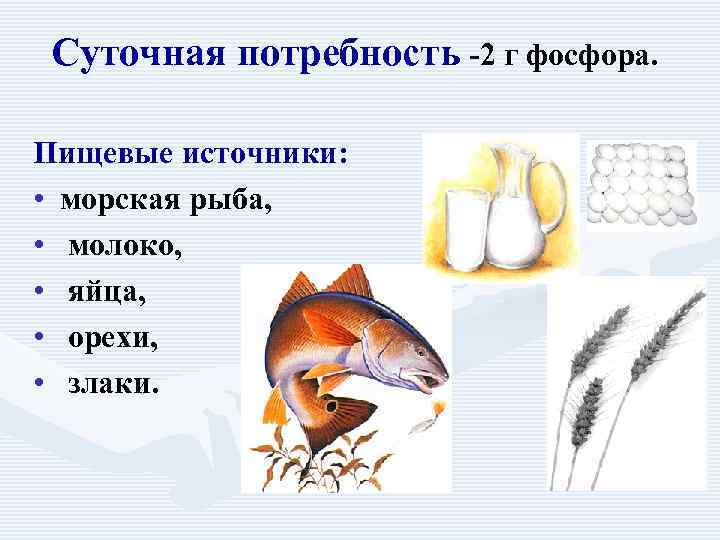 Суточная потребность -2 г фосфора. Пищевые источники: • морская рыба, • молоко, • яйца,