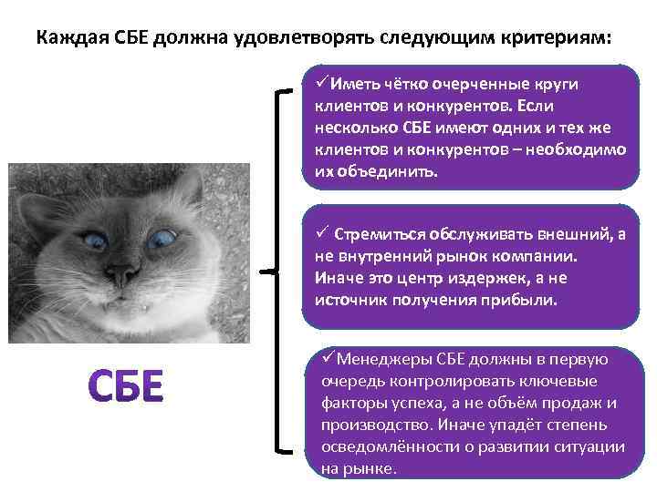 Каждая СБЕ должна удовлетворять следующим критериям: üИметь чётко очерченные круги клиентов и конкурентов. Если