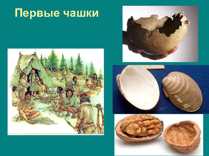 Первые чашки 