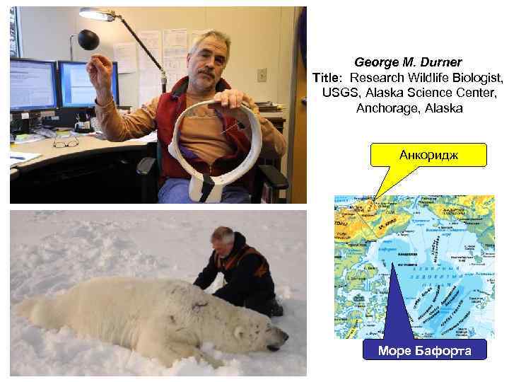George M. Durner Title: Research Wildlife Biologist, USGS, Alaska Science Center, Anchorage, Alaska Анкоридж