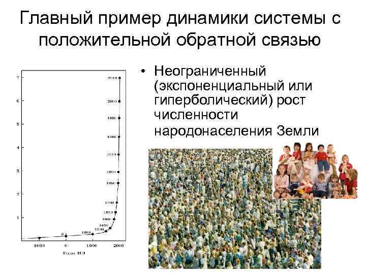 Главный пример динамики системы с положительной обратной связью • Неограниченный (экспоненциальный или гиперболический) рост
