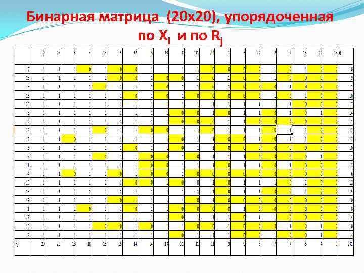 Бинарная матрица (20 х20), упорядоченная по Xi и по Rj 