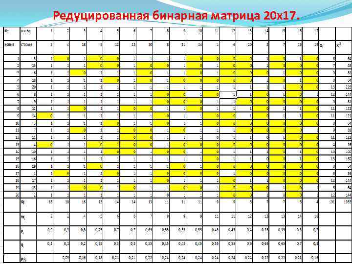 Редуцированная бинарная матрица 20 х17. 