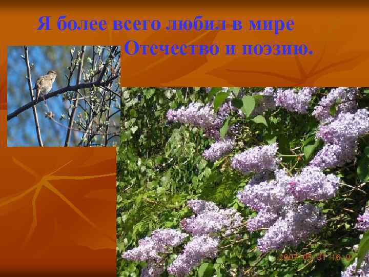 Я более всего любил в мире Отечество и поэзию. 