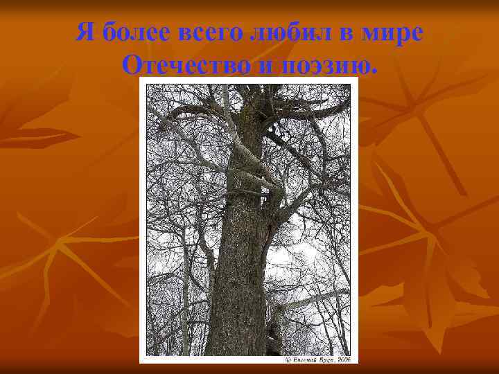 Я более всего любил в мире Отечество и поэзию. 