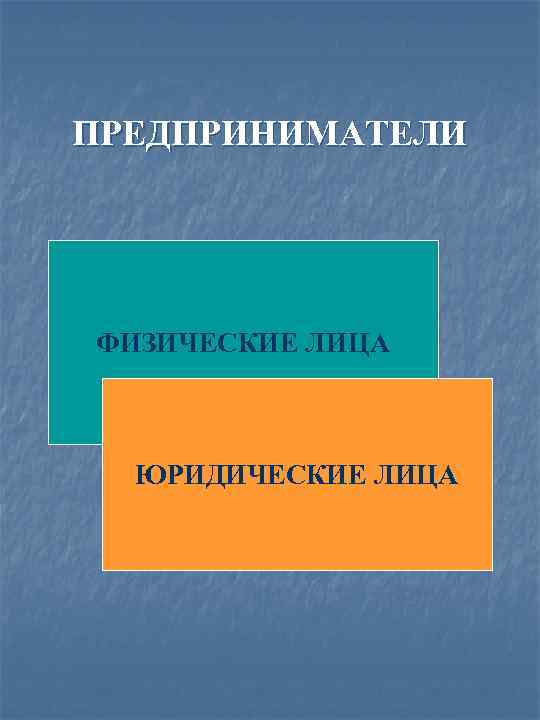 ПРЕДПРИНИМАТЕЛИ ФИЗИЧЕСКИЕ ЛИЦА ЮРИДИЧЕСКИЕ ЛИЦА 