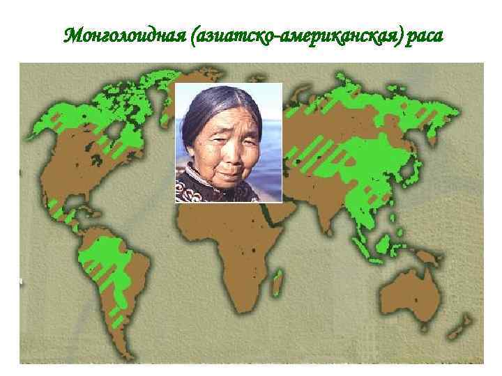 Монголоидная (азиатско-американская) раса 9 