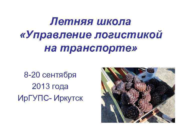Летняя школа «Управление логистикой на транспорте» 8 -20 сентября 2013 года Ир. ГУПС- Иркутск