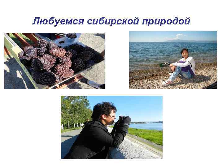 Любуемся сибирской природой 